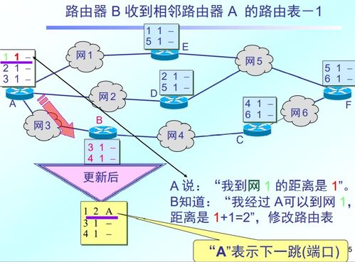 计算机网络层设计 构建高效可靠的信息传输框架